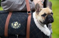 Best Dog Tote Bags 2023 : A Reviews And Buying Guide