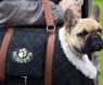Best Dog Tote Bags 2023 : A Reviews And Buying Guide