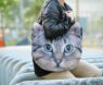 Best Cat Tote Bags 2023: A Review and Buying Guide